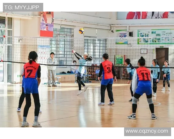 深圳排球队创下排球耐力新高运动员拼搏精神值得赞扬 深圳排球队创下排球耐力新高运动员拼搏精神值得赞扬