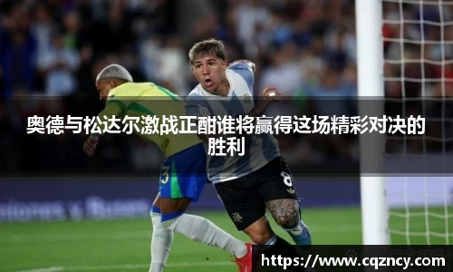 bellbet贝博官网