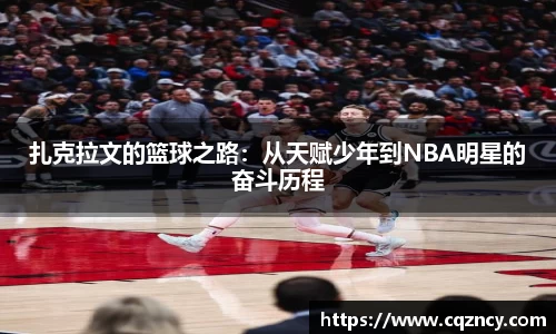 bellbet贝博官网